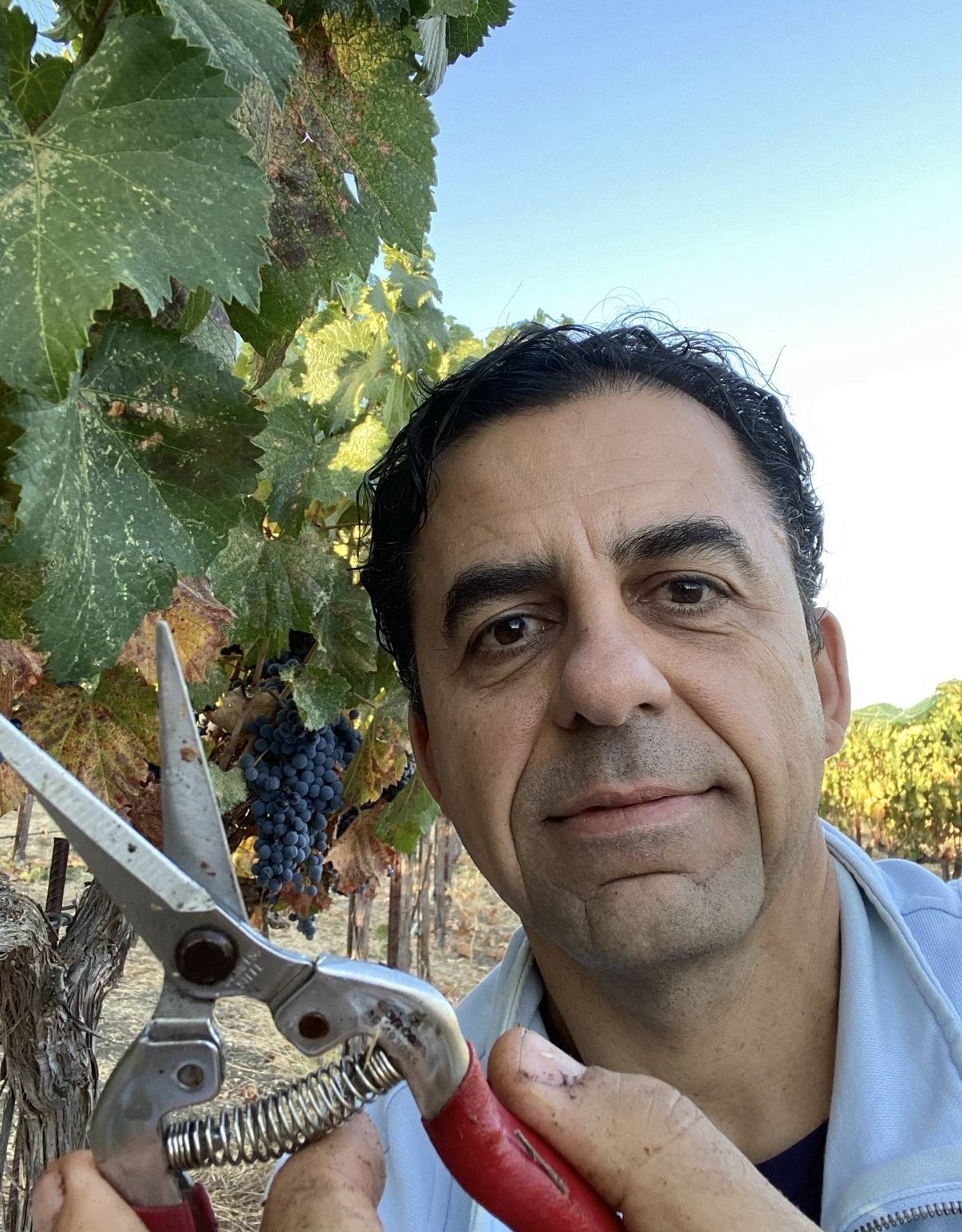 Guillermo Seta in the vineyard holding pruning shears beside ripe grapes