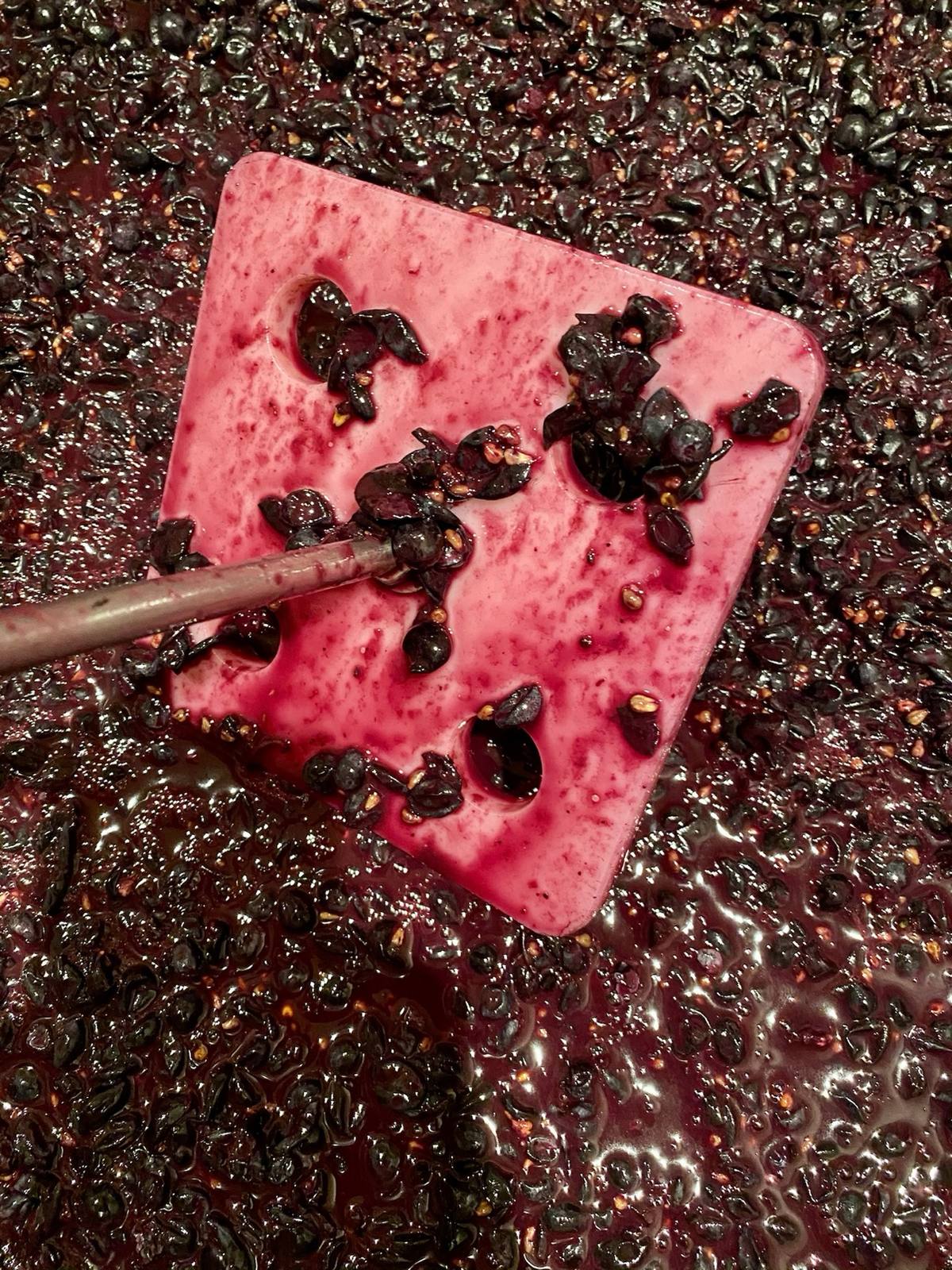 Punch-down paddle deep in vivid purple fermenting crushed grapes