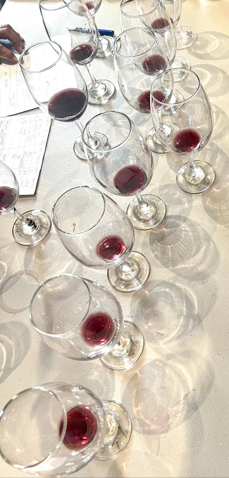 Blending table covered in tasting glasses and Guillermo Seta’s handwritten Merlot, Malbec, and Cabernet trial notes