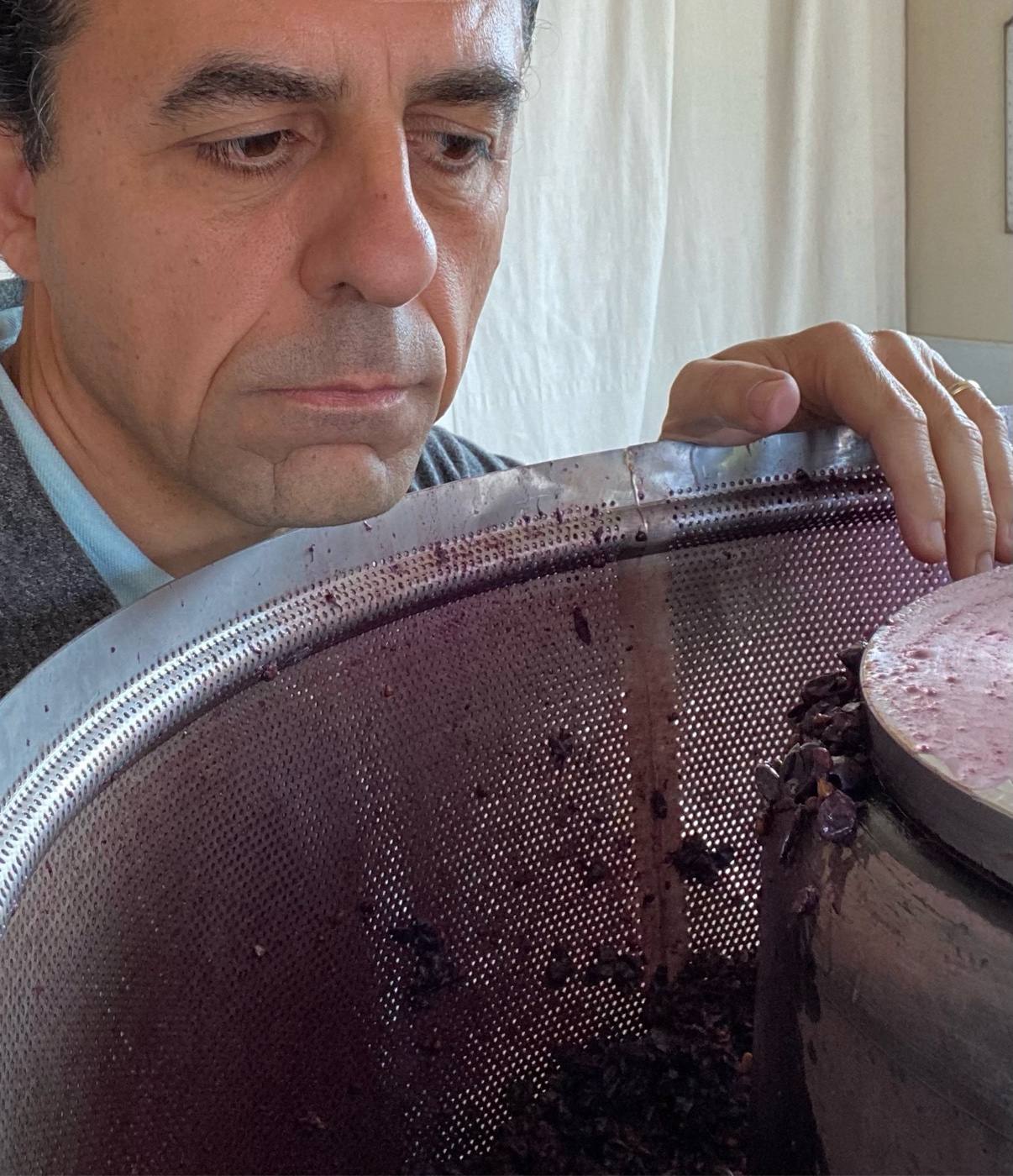 Guillermo Seta leaning over the press basket to inspect the ferment