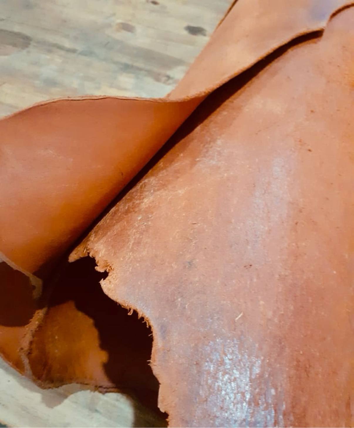 A natural leather hide laid flat, showing its grain and irregular edge