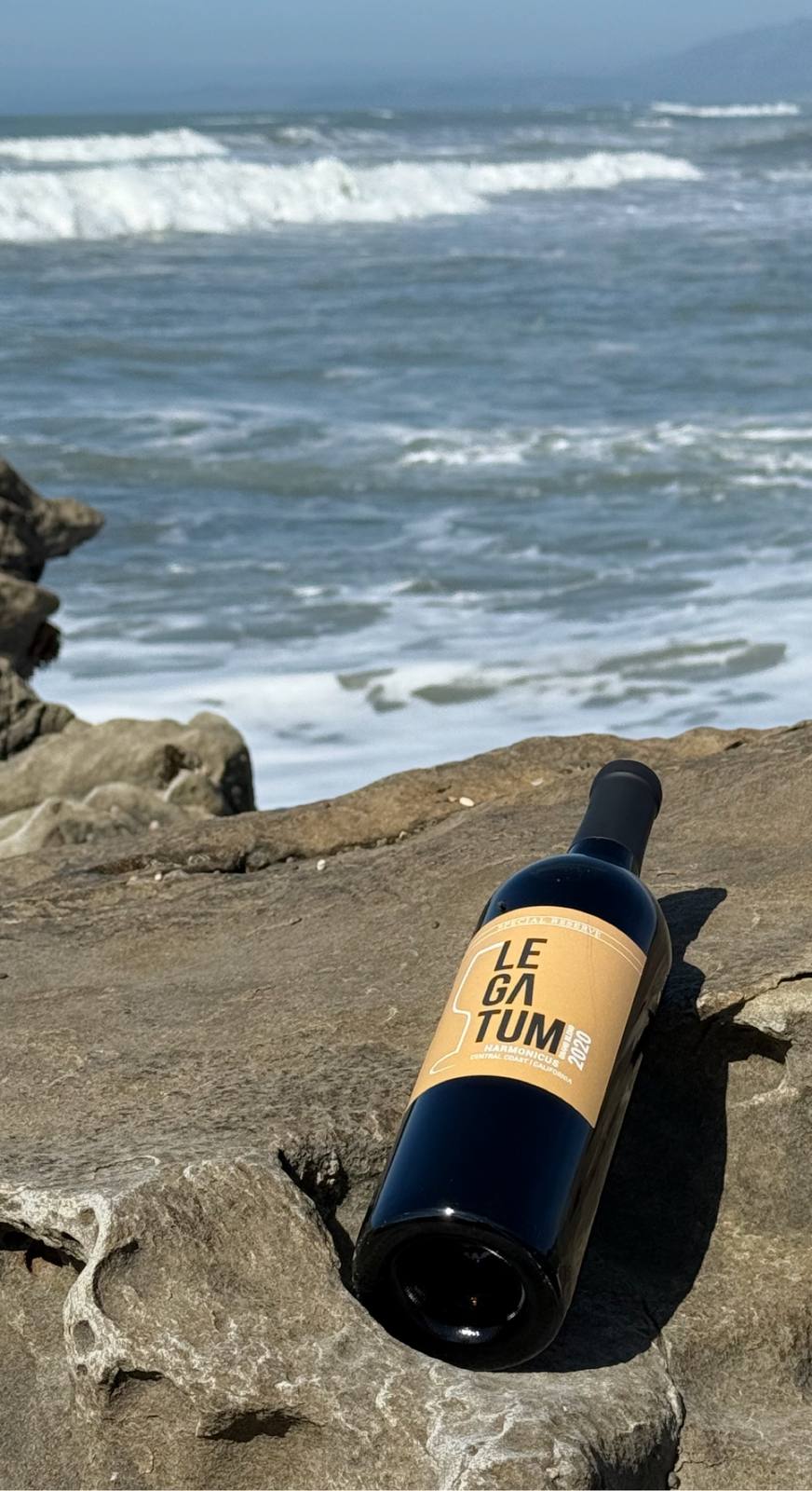 Gold-label 2020 Harmonicus resting on dark coastal rock beside the Pacific