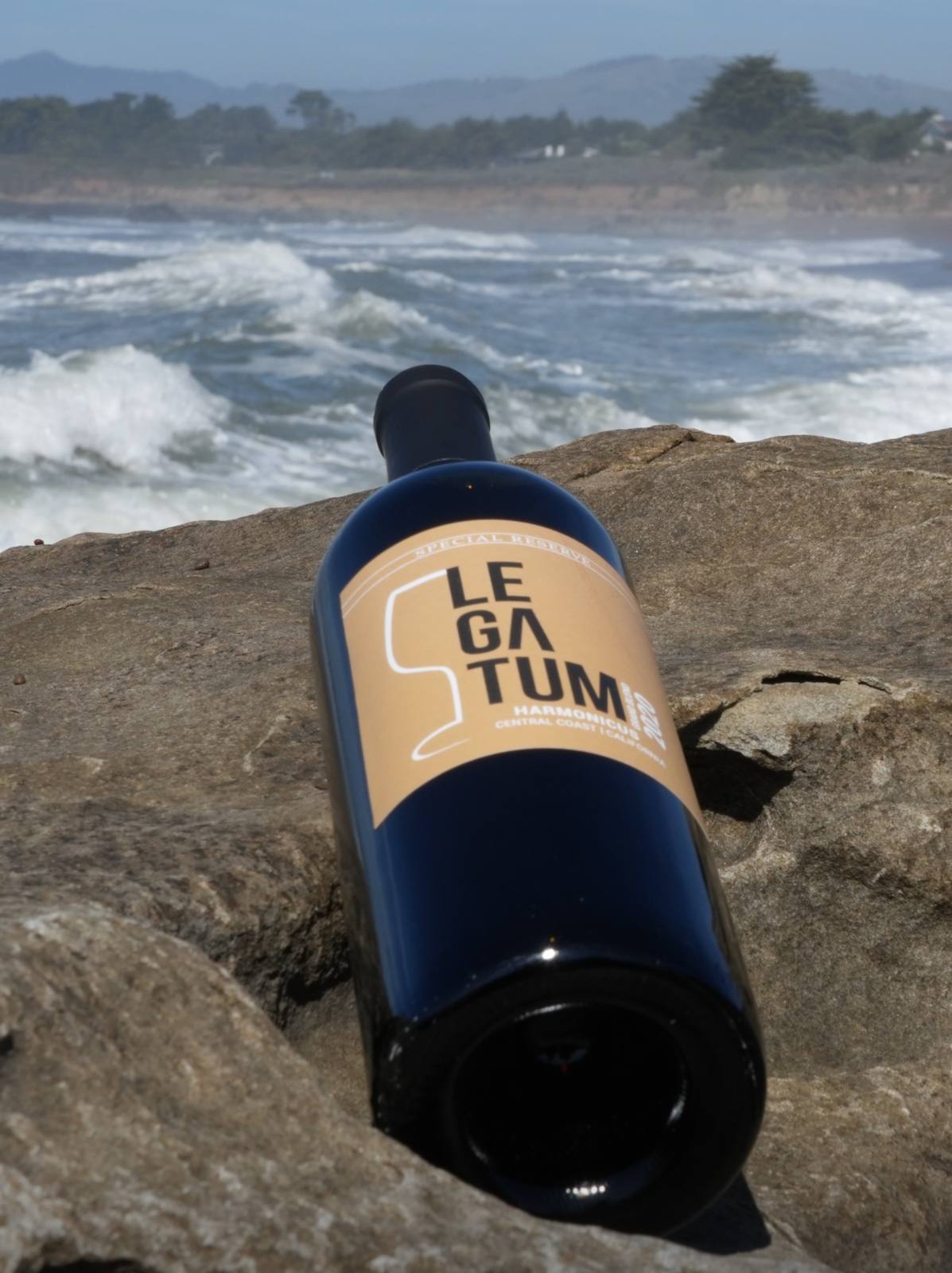 Close view of the 2020 Harmonicus bottle among tidepool rocks and seaweed