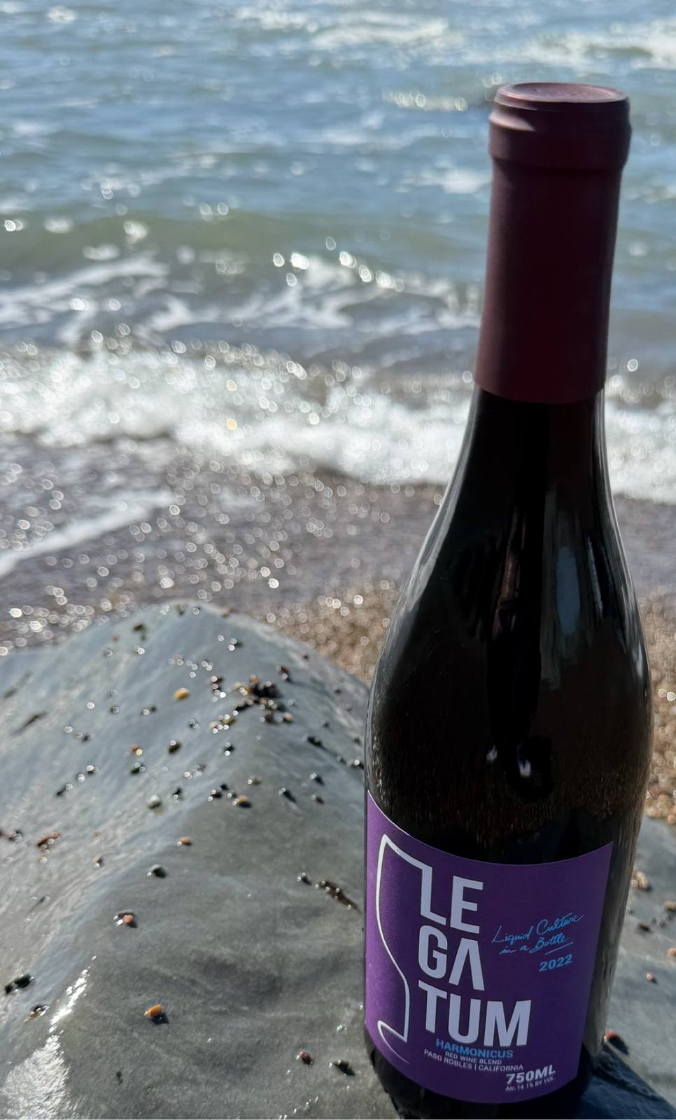 Purple-label 2022 Harmonicus with sparkling waves softened behind it