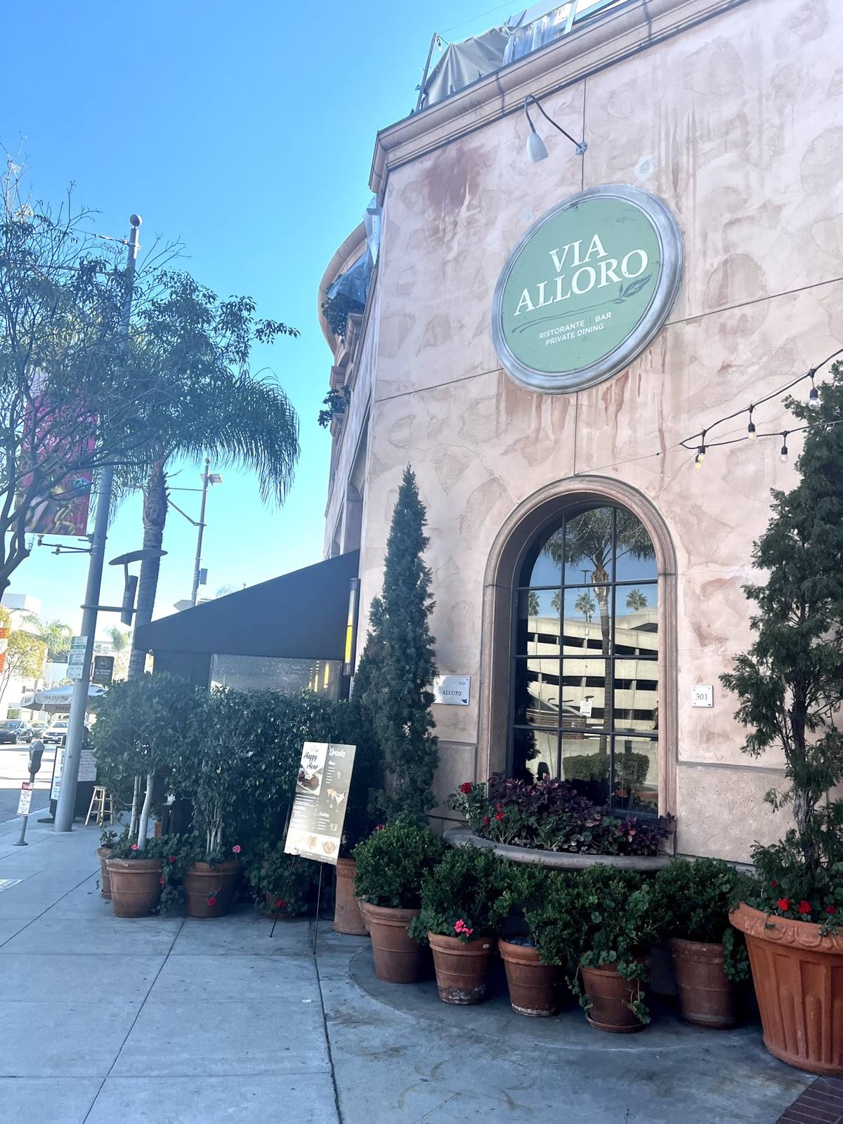 Street view of Via Alloro with palms, its round sign, and terracotta planters
